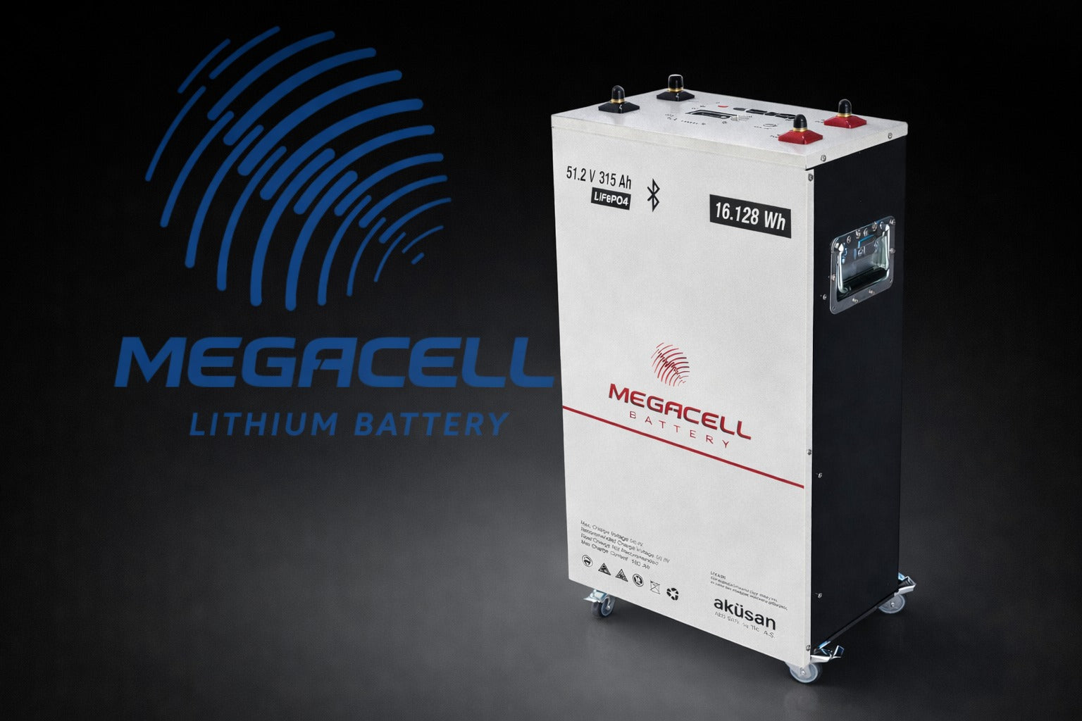 Megacell 51,2V 315 Ah LiFePO₄ Lityum Demir Fosfat Batarya